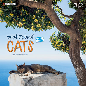 Greek Island Cats 2023