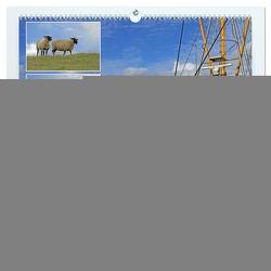 GREETSIEL – Schafe – Krabbenkutter – Möwen (hochwertiger Premium Wandkalender 2024 DIN A2 quer), Kunstdruck in Hochglanz von Braunleder,  Gisela