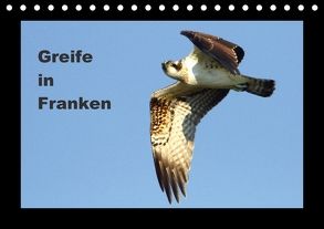 Greife in Franken (Tischkalender 2018 DIN A5 quer) von Bachmeier,  Günter