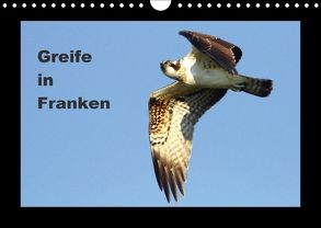 Greife in Franken (Wandkalender 2018 DIN A4 quer) von Bachmeier,  Günter