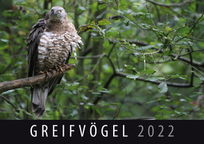 Greifvögel 2022 von Quelle & Meyer Verlag