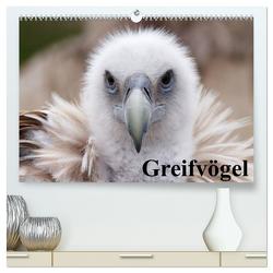 Greifvögel (hochwertiger Premium Wandkalender 2024 DIN A2 quer), Kunstdruck in Hochglanz von Stanzer,  Elisabeth