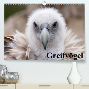 Greifvögel (Premium, hochwertiger DIN A2 Wandkalender 2021, Kunstdruck in Hochglanz) von Stanzer,  Elisabeth