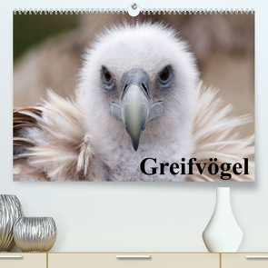 Greifvögel (Premium, hochwertiger DIN A2 Wandkalender 2022, Kunstdruck in Hochglanz) von Stanzer,  Elisabeth