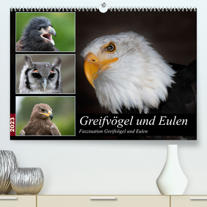 Greifvögel und Eulen (Premium, hochwertiger DIN A2 Wandkalender 2023, Kunstdruck in Hochglanz) von Trimbach,  Jürgen