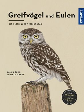 Greifvögel und Eulen von Böhre,  Paul, Raedt,  Joris De