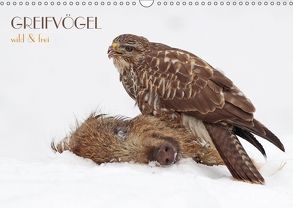 GREIFVÖGEL wild & frei (Wandkalender 2018 DIN A3 quer) von Brandmeier,  Wolfgang