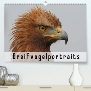 Greifvogelportraits (Premium, hochwertiger DIN A2 Wandkalender 2022, Kunstdruck in Hochglanz) von Wolf,  Gerald