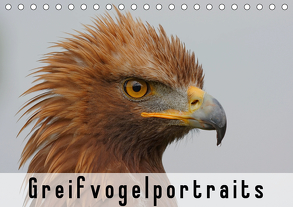 Greifvogelportraits (Tischkalender 2020 DIN A5 quer) von Wolf,  Gerald