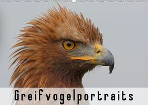 Greifvogelportraits (Wandkalender 2020 DIN A2 quer) von Wolf,  Gerald