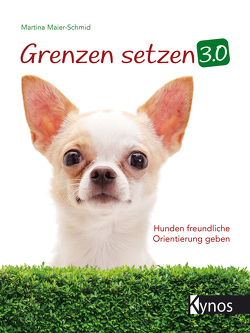 Grenzen setzen 3.0 von Maier-Schmid,  Martina