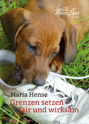 Grenzen setzen von Hense,  Maria