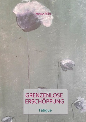 Grenzenlose Erschöpfung von Führ,  Heike