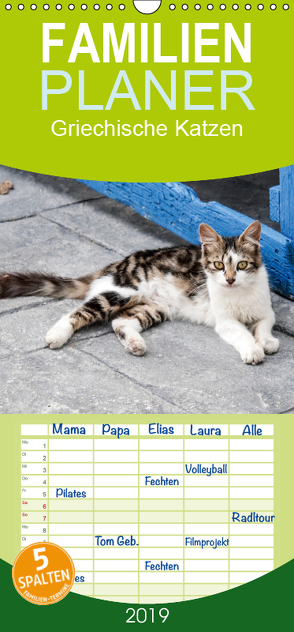 Griechische Katzen – Familienplaner hoch (Wandkalender 2019 , 21 cm x 45 cm, hoch) von Lumplecker,  Christine