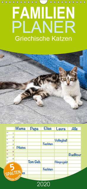 Griechische Katzen – Familienplaner hoch (Wandkalender 2020 , 21 cm x 45 cm, hoch) von Lumplecker,  Christine