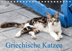 Griechische Katzen (Tischkalender 2020 DIN A5 quer) von Lumplecker,  Christine