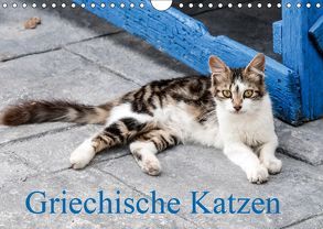 Griechische Katzen (Wandkalender 2019 DIN A4 quer) von Lumplecker,  Christine