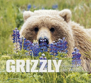 Grizzly von Breiter,  Matthias