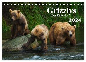 Grizzlys – Der Kalender CH-Version (Tischkalender 2024 DIN A5 quer), CALVENDO Monatskalender von Steinwald,  Max