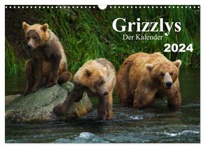 Grizzlys – Der Kalender CH-Version (Wandkalender 2024 DIN A3 quer), CALVENDO Monatskalender von Steinwald,  Max