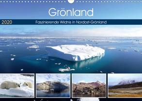 Grönland – Faszinierende Wildnis in Nordost-Grönland (Wandkalender 2020 DIN A3 quer) von Travelinspired.de