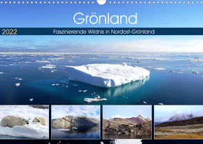 Grönland – Faszinierende Wildnis in Nordost-Grönland (Wandkalender 2022 DIN A3 quer) von Travelinspired.de