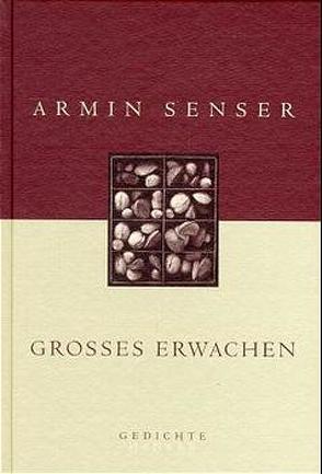 Großes Erwachen von Senser,  Armin