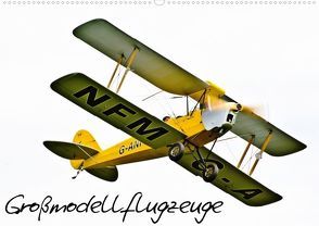 Großflugzeugmodelle (Posterbuch DIN A2 quer) von Selig,  Bernd