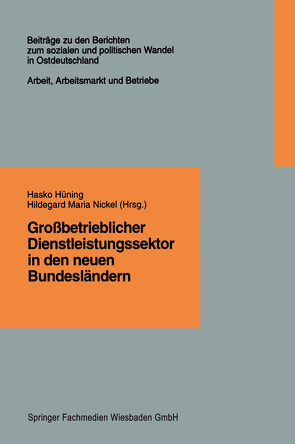 Großbetrieblicher Dienstleistungssektor in den neuen Bundesländern von Hüning,  Hasko