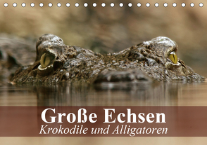 Große Echsen. Krokodile und Alligatoren (Tischkalender 2021 DIN A5 quer) von Stanzer,  Elisabeth