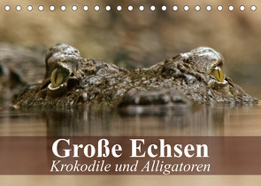 Große Echsen. Krokodile und Alligatoren (Tischkalender 2023 DIN A5 quer) von Stanzer,  Elisabeth