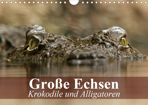 Große Echsen. Krokodile und Alligatoren (Wandkalender 2021 DIN A4 quer) von Stanzer,  Elisabeth