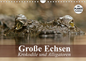 Große Echsen. Krokodile und Alligatoren (Wandkalender 2022 DIN A4 quer) von Stanzer,  Elisabeth