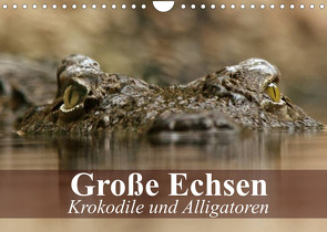 Große Echsen. Krokodile und Alligatoren (Wandkalender 2022 DIN A4 quer) von Stanzer,  Elisabeth