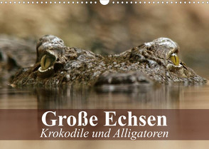 Große Echsen. Krokodile und Alligatoren (Wandkalender 2023 DIN A3 quer) von Stanzer,  Elisabeth