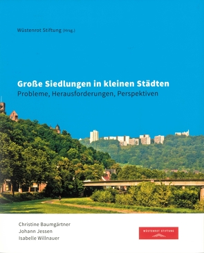 Große Siedlungen in kleinen Städten von Baumgärtner,  Christine, Jessen,  Johann, Krämer,  Stefan, Willnauer,  Isabelle