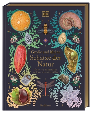 Große und kleine Schätze der Natur. Große und kleine Schätze der Natur von Hoare,  Ben, McKean,  Kaley, Sixt,  Eva