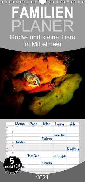 Große und kleine Tiere im Mittelmeer – Familienplaner hoch (Wandkalender 2021 , 21 cm x 45 cm, hoch) von Hampe,  Gabi