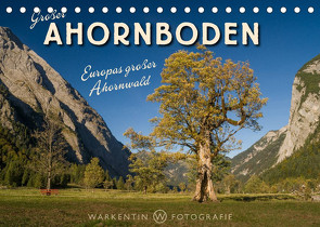 Großer Ahornboden – Europas großer Ahornwald (Tischkalender 2023 DIN A5 quer) von H. Warkentin,  Karl