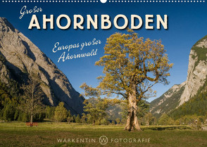 Großer Ahornboden – Europas großer Ahornwald (Wandkalender 2023 DIN A2 quer) von H. Warkentin,  Karl