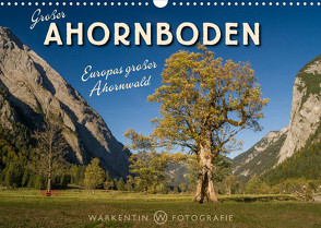 Großer Ahornboden – Europas großer Ahornwald (Wandkalender 2023 DIN A3 quer) von H. Warkentin,  Karl