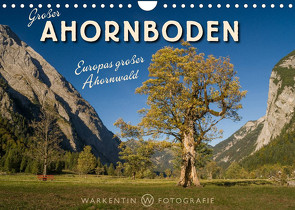 Großer Ahornboden – Europas großer Ahornwald (Wandkalender 2023 DIN A4 quer) von H. Warkentin,  Karl