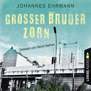 Großer Bruder Zorn von Ehrmann,  Johannes, Nathan,  David