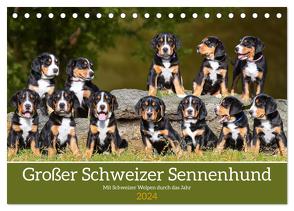 Großer Schweizer Sennenhund – Mit Schweizer Welpen durch das Jahr (Tischkalender 2024 DIN A5 quer), CALVENDO Monatskalender von Starick,  Sigrid