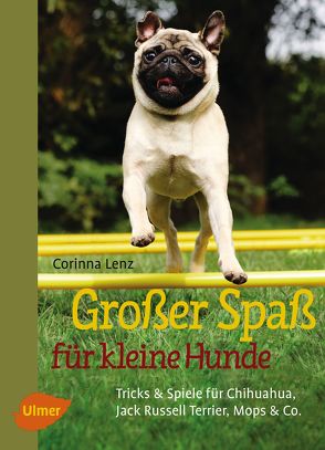 Großer Spaß für kleine Hunde von Lenz,  Corinna