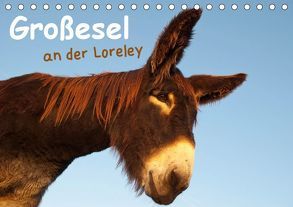 Großesel an der Loreley (Tischkalender 2019 DIN A5 quer) von Bölts,  Meike