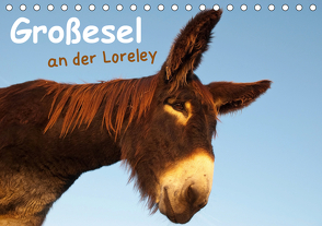 Großesel an der Loreley (Tischkalender 2021 DIN A5 quer) von Bölts,  Meike