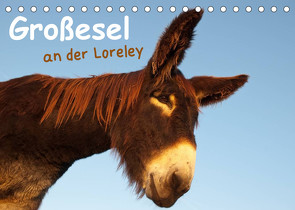 Großesel an der Loreley (Tischkalender 2023 DIN A5 quer) von Bölts,  Meike