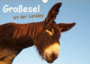 Großesel an der Loreley (Wandkalender 2019 DIN A4 quer) von Bölts,  Meike