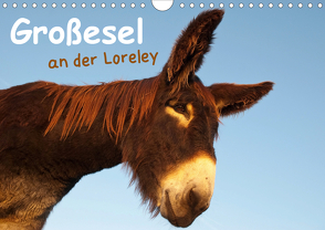 Großesel an der Loreley (Wandkalender 2021 DIN A4 quer) von Bölts,  Meike